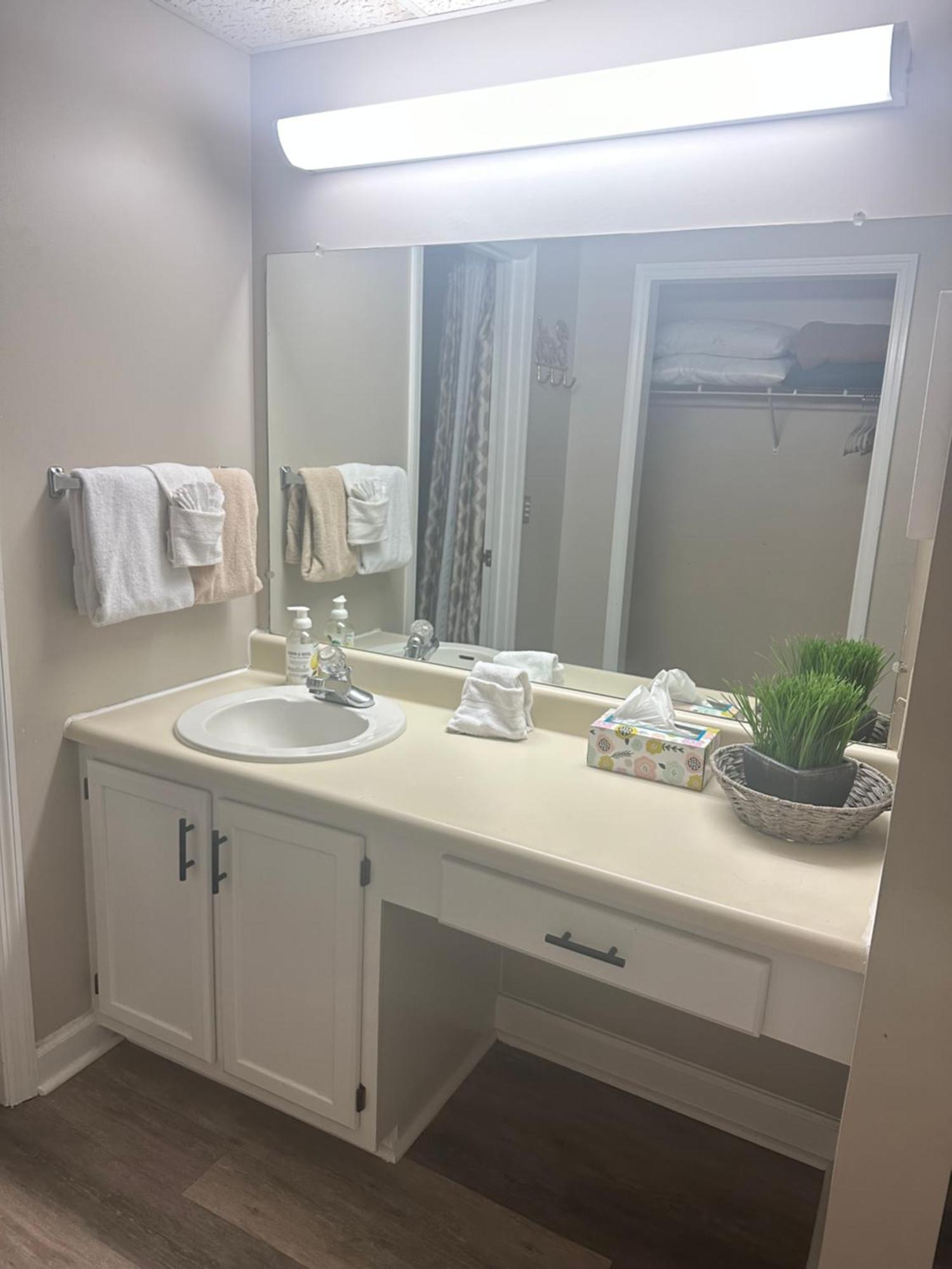 River Place Condos #401 2Bd ピジョンフォージ エクステリア 写真